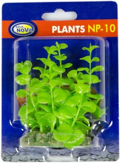 Plastmasas augs AQUA NOVA 10 cm