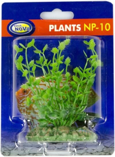 Plastmasas augs AQUA NOVA 10cm