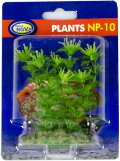 Plastmasas augs AQUA NOVA 10 cm