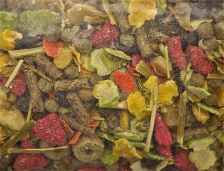 Barība šinšilām VADIGRAN PREMIUM 0.5 kg