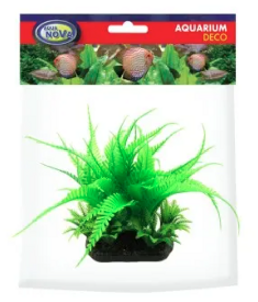 AQUA NOVA dekorācija akvārijam augs Fern